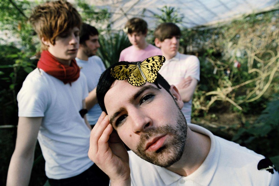 Foals
